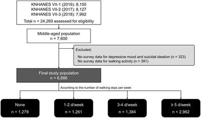 Relationships of walking activity with depressed mood and suicidal ideation among the middle-aged Korean population: a nationwide cross-sectional study